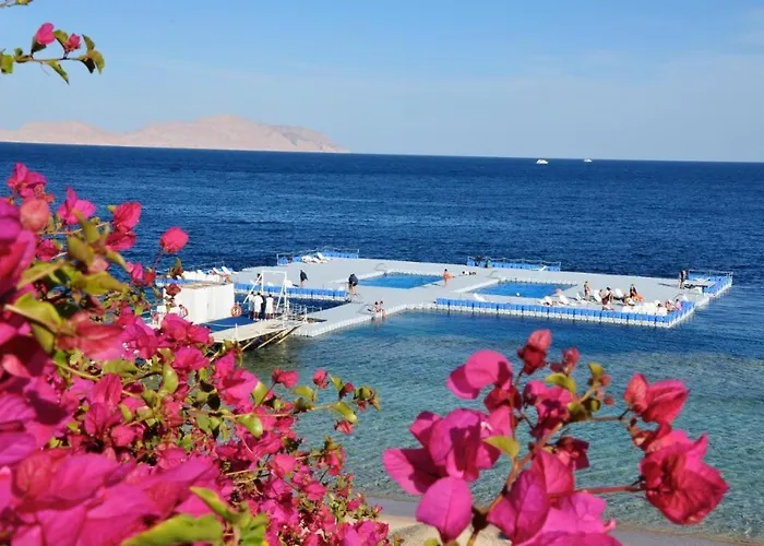 Domina Coral Bay Private Apart Otel
